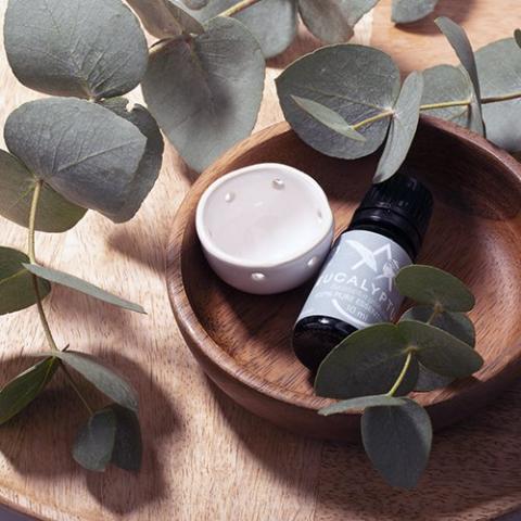 Saunum Eucalyptus Aroma Oil with Reservoir, 10ml